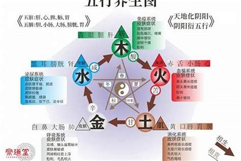 五行欠打|广东话“五行欠打”五行什么意思？